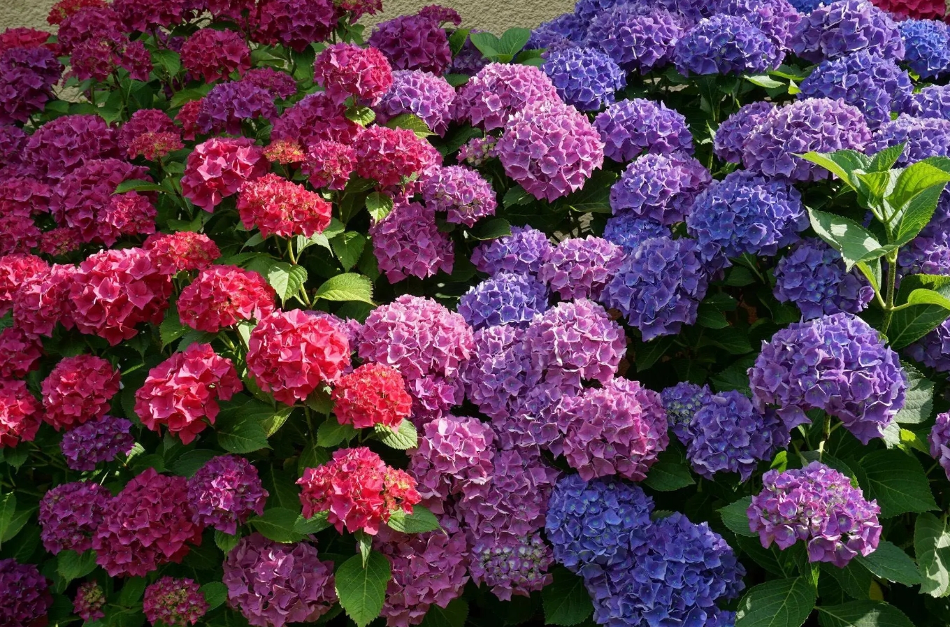 /uploads/image/2025/02/25/5208c728499e875d37569567a8d1dfec.png 微信截图_20250225133251.png